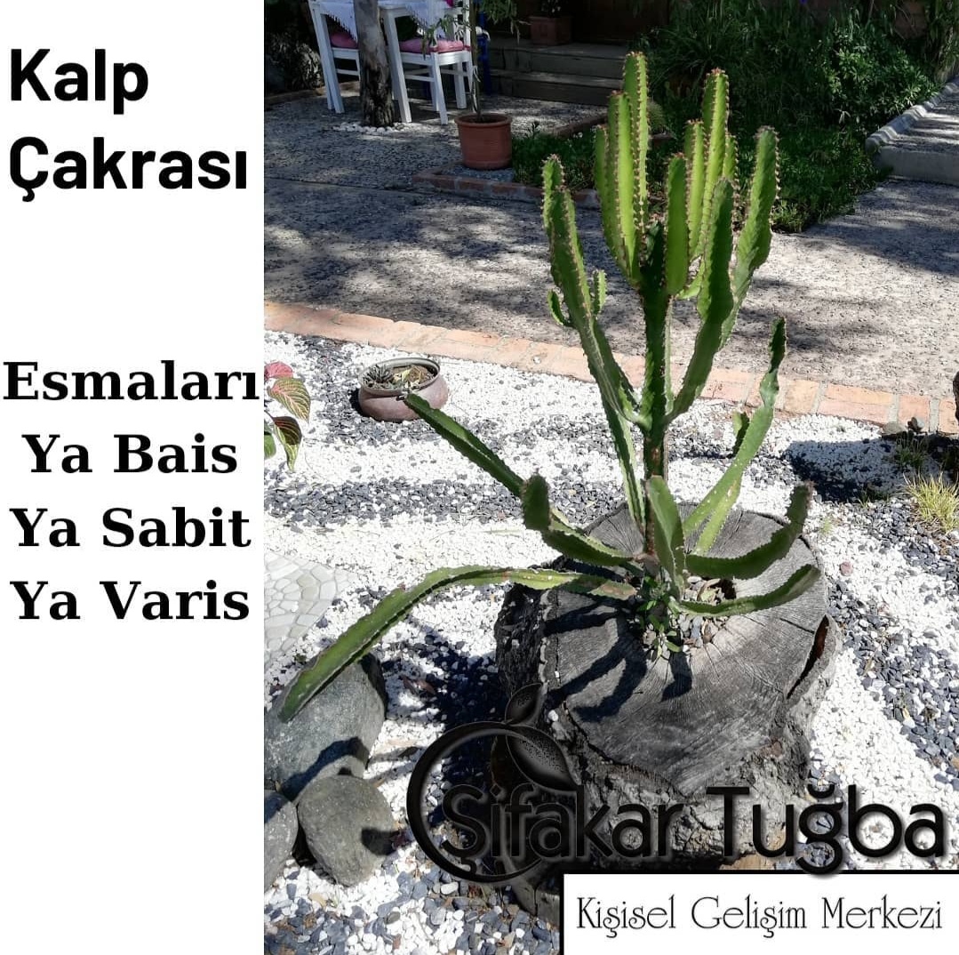 Kalp Çakrası